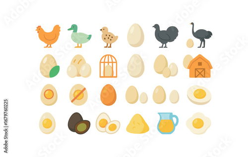 colorful flat vector icons Egg (Types) egg chicken egg duck egg quail egg goose egg turkey egg ostrich egg organic egg free egg cage egg barn egg fertile egg infertile egg brown egg.