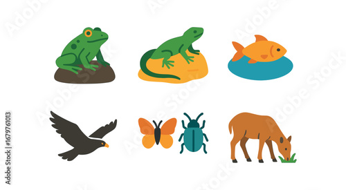 vector colorful flat filled icons gully (wildlife): frog on rock lizard sunning fish in pool hawk overhead insects grazing animal.