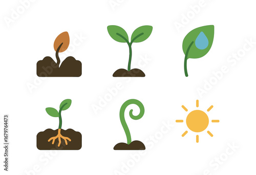 vector colorful flat filled icons seedling time (close up): seed breaking soil tiny leaves morning dew root sprout curled stem soft sunlight.