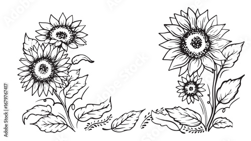 Hand drawn sunflower border with detailed blossom and leaves, vintage floral frame for wedding invitations, greeting cards, posters and rustic design projects
