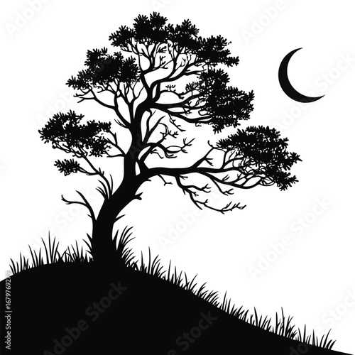 Moon reflecting on spiral hill silhouette