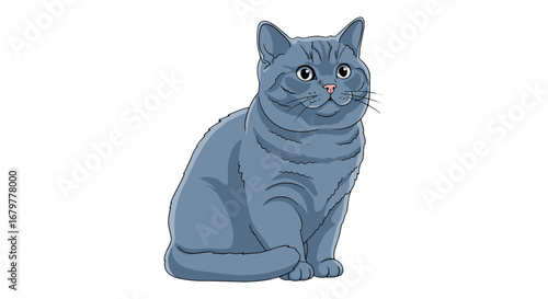 Illustration of a gray british shorthair cat sitting upright with a pink nose and black outline on transparent background
