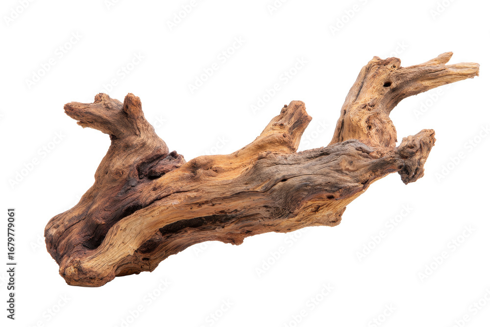 Fototapeta premium Driftwood Log on Transparent Background