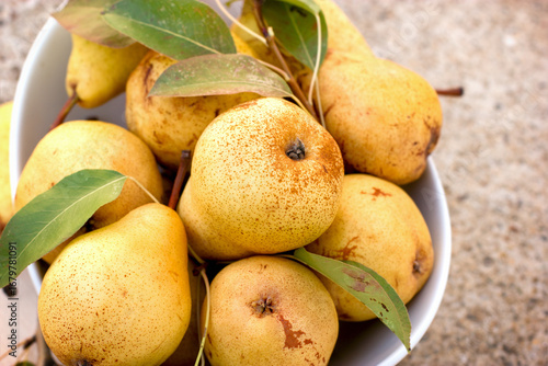 Organic pears closeup, juicy pears and delicious like honey
