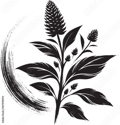 Elegant Amaranth Illustration in Sumi-e Style with Circular Brus