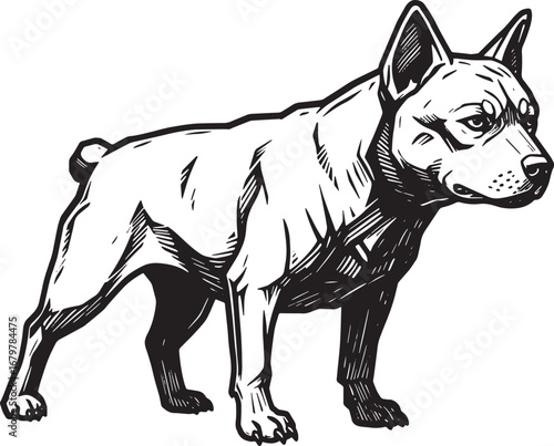 Dogo Argentino: Striking black and white woodcut artwork, a symb