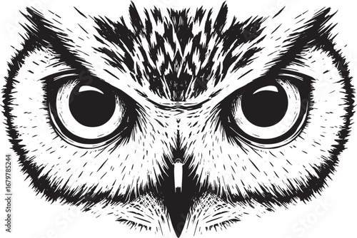 Intense gaze of owl eyes detailed woodcut drawing in monochromat