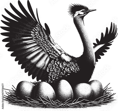 Detailed black and white illustration of a bird protecting its eggs in a nest, vintage style