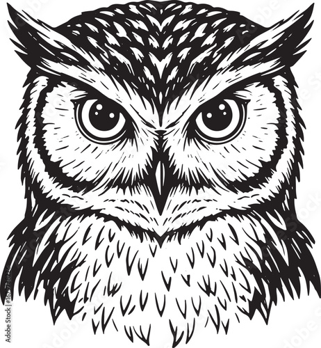 Striking Monochrome Owl Portrait - Detailed Feathers and Intense
