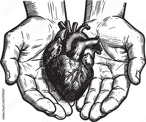 Anatomical heart cradled in open hands artistic engraving black