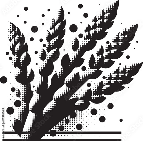 black asparagus graphic on white background clip art preview