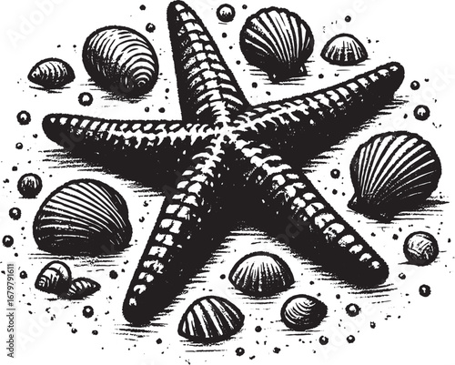 Black and white illustration of a starfish surrounded by seashells and sand particles