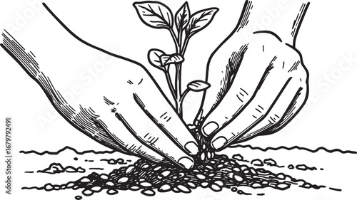 Hands gently planting a sprout, woodcut illustration showing new