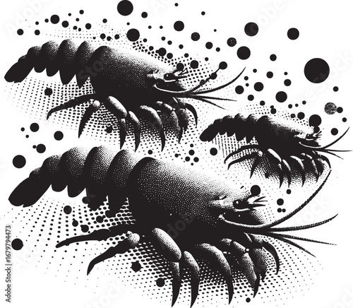 Black and white illustration of shrimps in a dotted background with artistic design elements