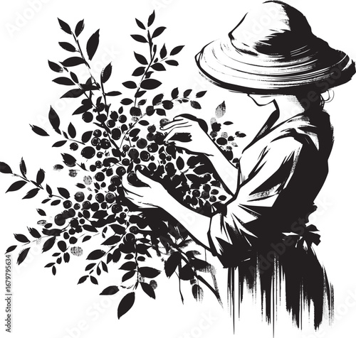 Monochrome illustration of a woman harvesting blueberries in a t