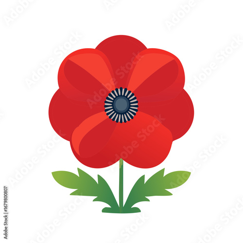 Stylized Red Poppy Flower Illustration Symbol of Remembrance Memorial and Peace