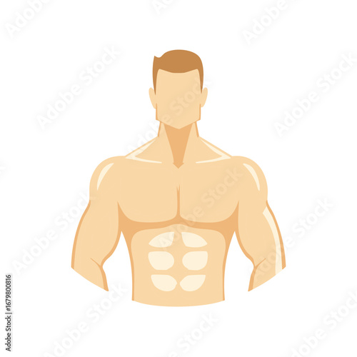Stylized illustration of a muscular male torso with defined abs and shoulders.