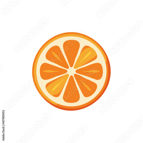 Fresh juicy orange citrus fruit slice in cross section vector illustration
