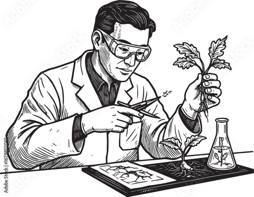 Botanical research illustration shows scientist examining plant