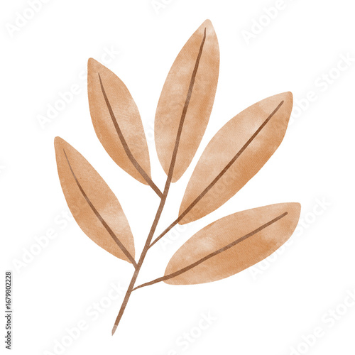A branch with elongated leaves, drawn in a soft watercolor style, minimalistic and natural. Perfect for autumn designs, wedding invitations, eco-projects, fabric prints, and stationery.