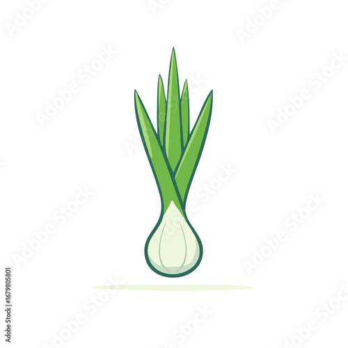Green Onion Illustration Against a White Background