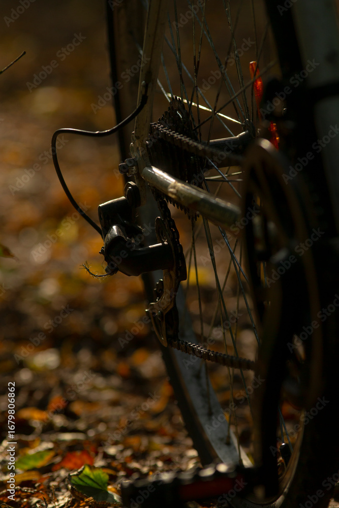 Fototapeta premium A detailed view of a bicycle's rear wheel amidst colorful autumn leaves, capturing the essence of fall and outdoor adventure.