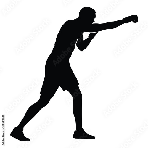 Boxer punching