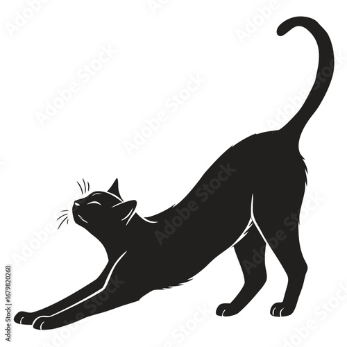 Cat stretching