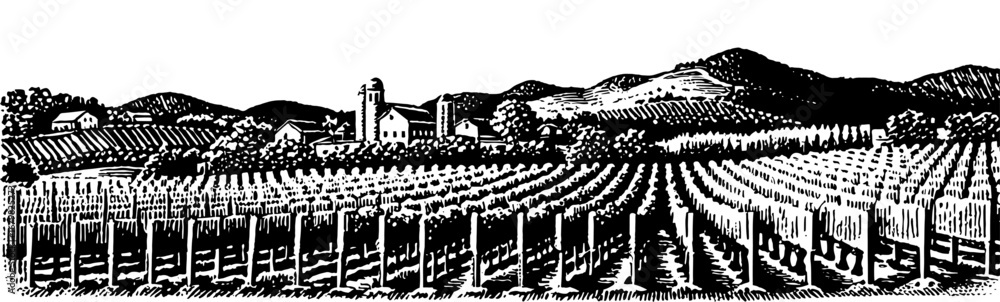 Fototapeta premium Vineyard with buildings in a woodcut style, in black and white, representing traditional winemaking.