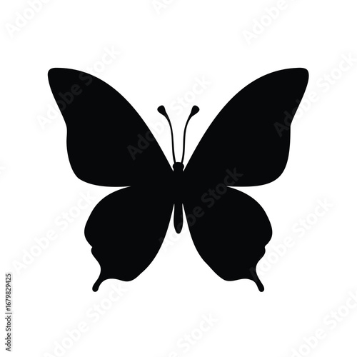 Simple butterfly silhouette image evoking transformation, beauty and fragility in nature