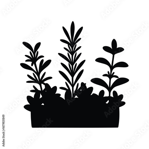 Monochrome silhouette illustration of a herb garden growing in a container