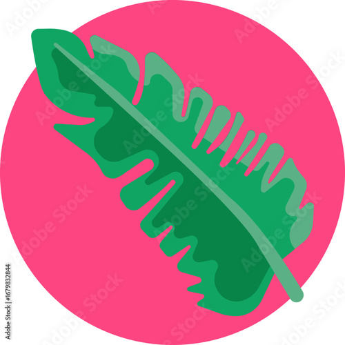 A large, elongated tropical leaf with smooth edges, commonly found on banana plants.
