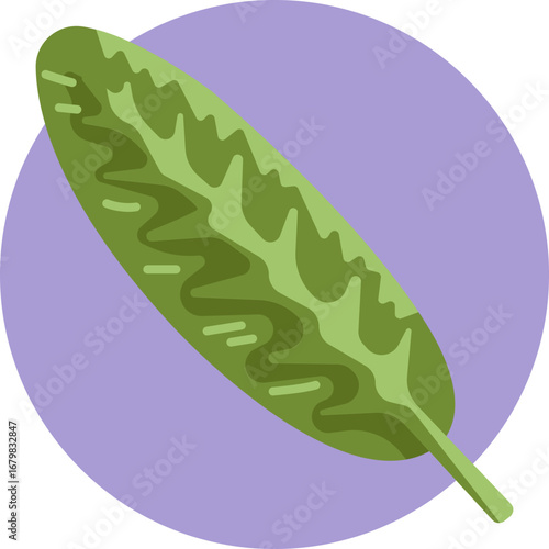 Icon of an Aglaonema leaf, a tropical plant known for its broad, patterned foliage.