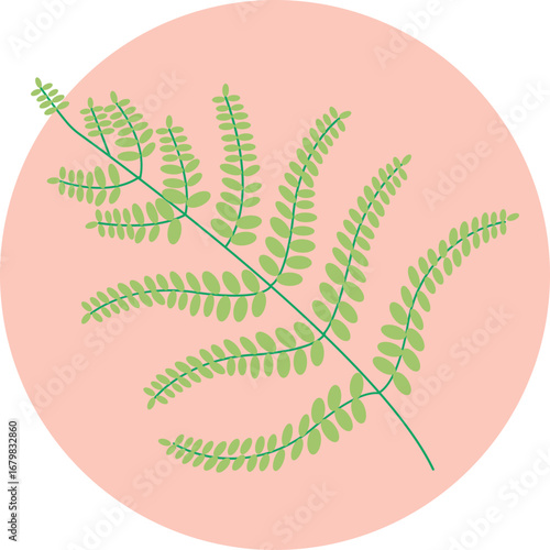 A detailed depiction of a fern leaf with multiple fronds.