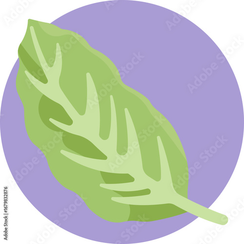 A tropical plant with large, variegated leaves, commonly grown as a decorative indoor plant.