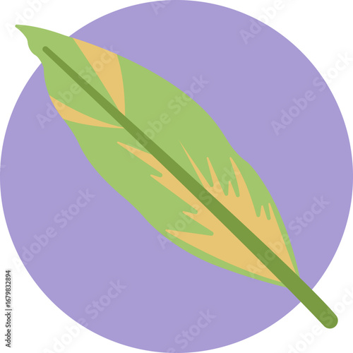 Depiction of a single Shell Ginger leaf, highlighting its smooth curves and tapering tip.