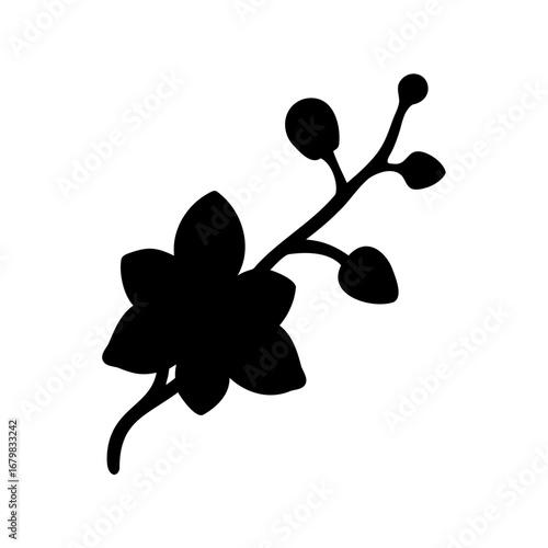 Black Silhouette of an Orchid Flower and Budding Stem on White Background