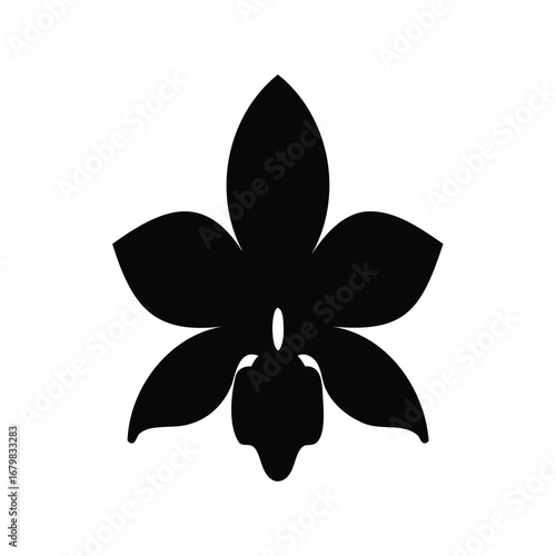 Elegant silhouette of an orchid flower against a pristine white backdrop creating contrast