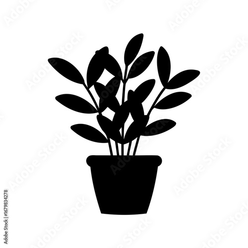 Silhouette of a potted plant with leaves and thick stems, on white