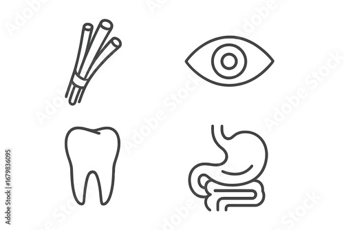 Medical and anatomy icon set. Thin line pictogram collection of muscle fibers, eye, tooth, and internal organs like stomach and intestines. Vector design elements for health.