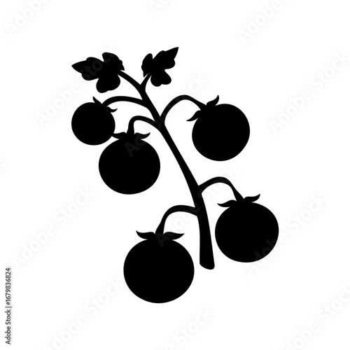 Silhouette of Cherry Tomatoes on Vine, Fresh Harvest, Simple Black Design