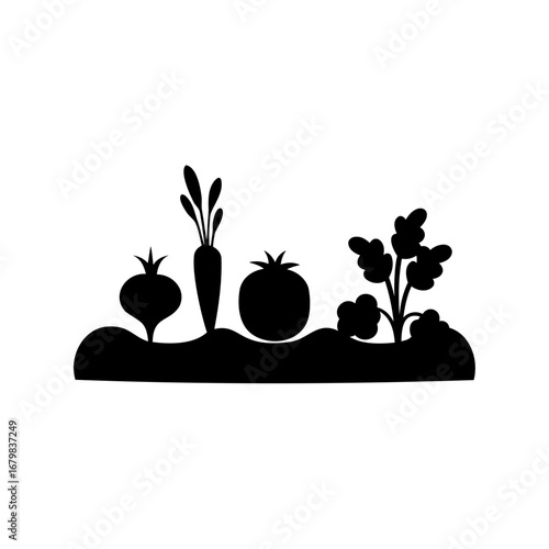 Silhouette of a vegetable garden with carrots, beet, tomato and greens growing