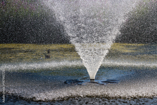 Water Fountain In City Park