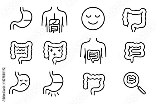 Vector icon bundle of the human digestive system. Stomach, intestine, gut health. Medical line icons for concepts like probiotics, indigestion, colon health and gastroenterology.