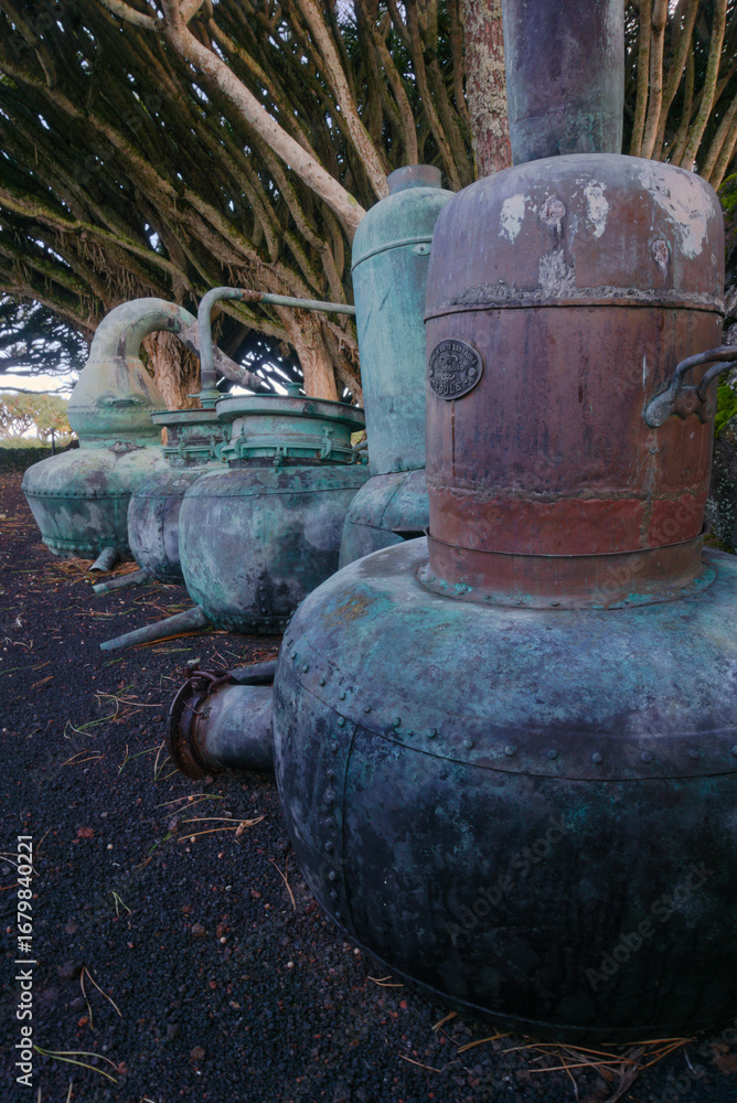 Fototapeta premium Museum of Wine - Pico Island