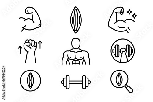 Muscles line icon set. Fitness, gym, workout thin icons. Bodybuilding, strength, power. Biceps, arm, dumbbell, torso. Editable stroke vector illustration for web, apps.