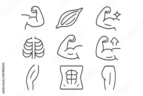 Muscles and fitness line icon set. Human anatomy, bodybuilding, and gym workout concept. Vector icons of bicep, abs, glutes, and ribs. Editable stroke for health & sport.