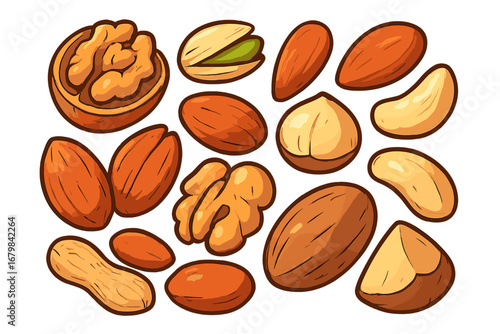 Assorted nuts collection vector cartoon illustration. Healthy food concept with walnut, almond, pistachio, cashew, peanut. Organic vegan protein snack mix for diet nutrition.