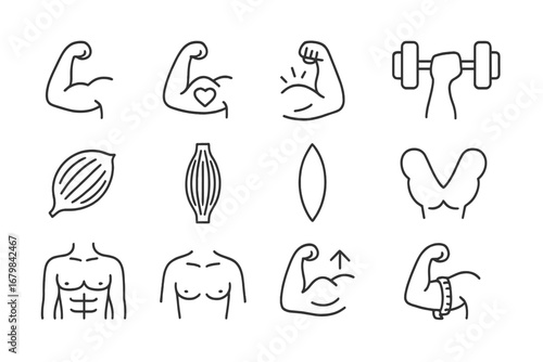 Muscles Icon Collection, Thin Line Editable Stroke Vector Set for Web, Books, Cards, Apps, Cartoon Style Transparent Background, Medical and Fitness Illustration Pack