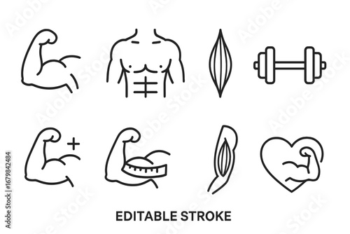 Muscles simple isolated line icons collection with editable stroke, vector cartoon illustration, fitness and strength concept, ideal for websites, books, cards, apps, transparent background